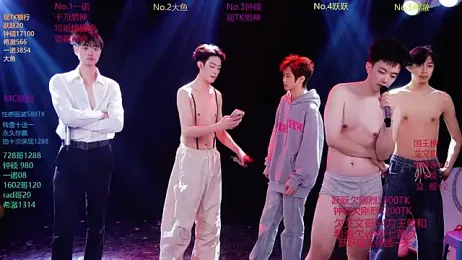 BOYGAYHOUSE1 webcam model stream image