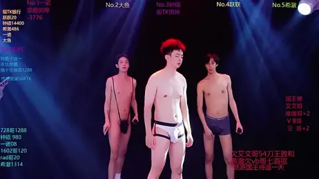 BOYGAYHOUSE1 webcam model stream image