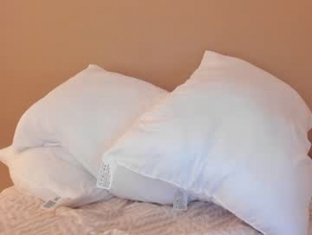 max_steelc webcam model stream image