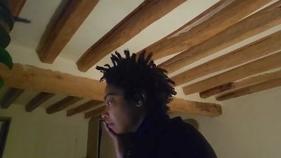 FATISS webcam model stream image