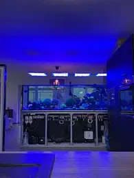 newMichelle webcam model stream image