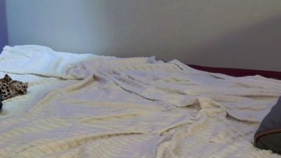 Lucymuur webcam model stream image