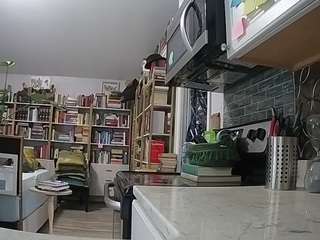 voyeurcam-bridgetleewalters-02 webcam model stream image