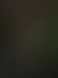 ppahcket webcam model stream image