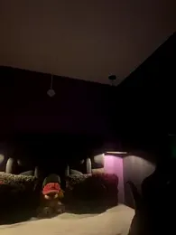 Lyon_vach webcam model stream image