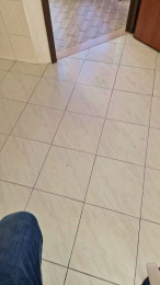 navigante webcam model stream image