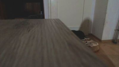 Sammy0029 webcam model stream image