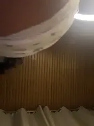 AgathaGeorgiou webcam model stream image