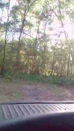 Liveformuff webcam cam4 model stream image