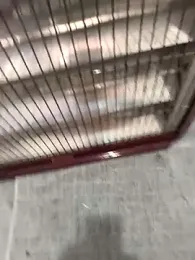 mustican422 webcam stripchat model stream image