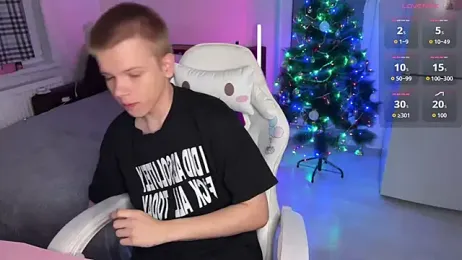 metarion webcam model stream image