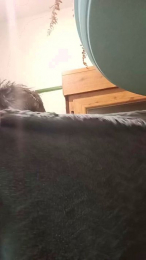 Joel3590 webcam cam4 model stream image