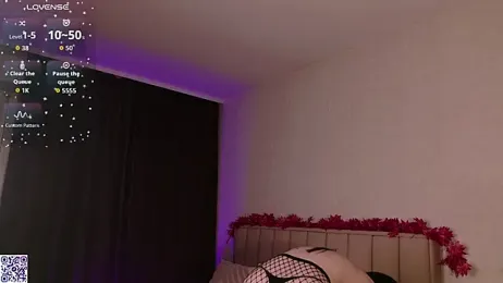 LeraKit webcam model stream image