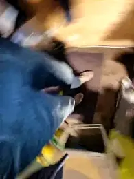 Lorent6969 webcam model stream image