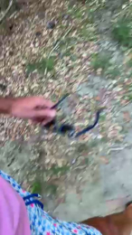 JOREDD webcam model stream image