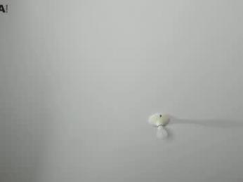 energio_19 webcam model stream image