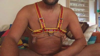 saubear2 webcam model stream image