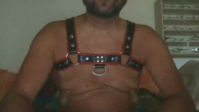 saubear2 webcam model stream image