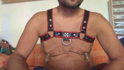 saubear2 webcam model stream image