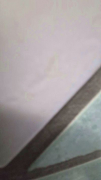 Monella52 webcam model stream image