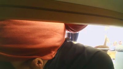 legov4 webcam model stream image