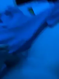 Abspritzerboy21 webcam model stream image