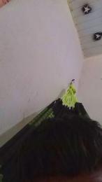 Novinhogtz18y webcam model stream image