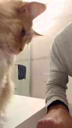 Mario1543 webcam model stream image