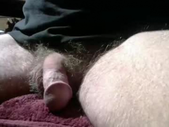 gemini_2 webcam model stream image