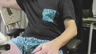 ima_vit webcam model stream image