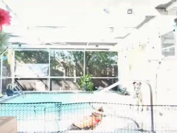 yoursecretgirlfriend963 webcam chaturbate model stream image