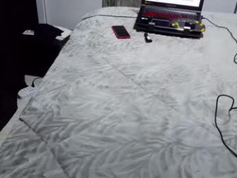 laylabrasil webcam model stream image