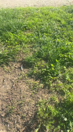 Assetge webcam model stream image