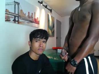 daiquirie webcam model stream image