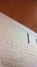 CarlitosOmarpte webcam model stream image