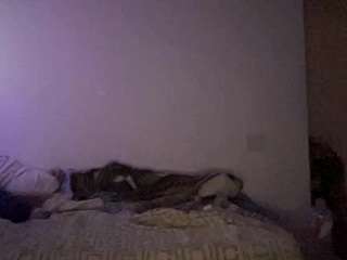 hwdmusclerub webcam model stream image