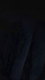 DamianPollonxD webcam model stream image