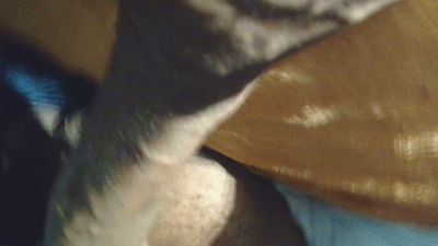 Dooney7 webcam model stream image