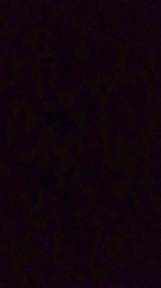 Okta4 webcam model stream image