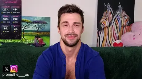 Promethe_us webcam model stream image