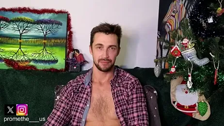 Promethe_us webcam model stream image