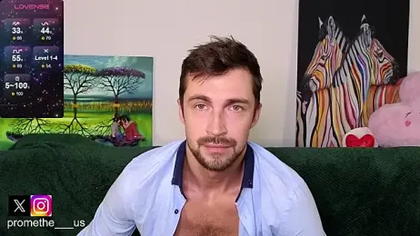 Promethe_us webcam model stream image