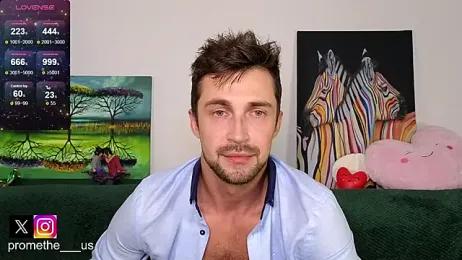 Promethe_us webcam model stream image