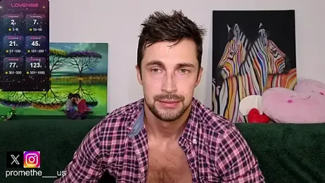 Promethe_us webcam model stream image