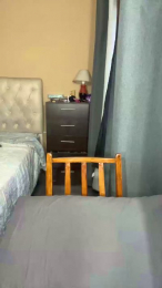 Minerva_ok webcam model stream image