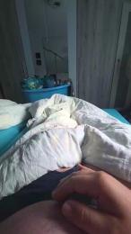 Zwerg_hl webcam model stream image