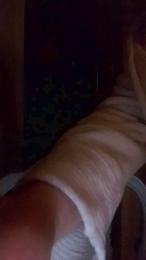 Cassandra64 webcam cam4 model stream image