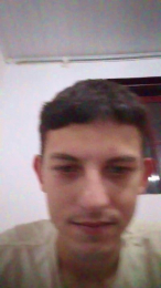 SDOlyver webcam model stream image