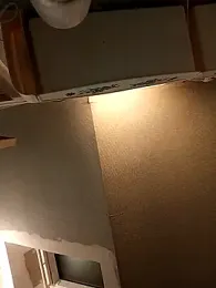 Ptitcouic webcam model stream image