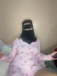 Raahafe webcam model stream image